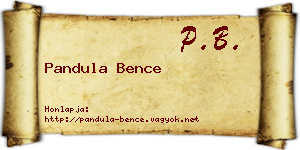 Pandula Bence névjegykártya